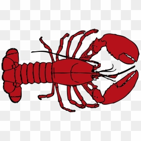 Menu Highlight Lobster Crawfish Clipart- - Lobster Clipart, HD Png Download - crawfish png