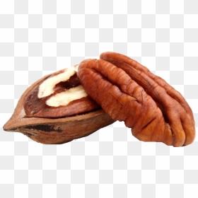 Walnut Png - Benefits Of Pecan Nuts, Transparent Png - walnut png