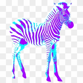 Zebra, HD Png Download - crosswalk png