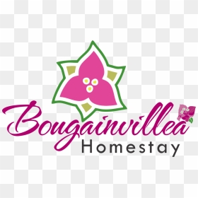Bougainvillea , Png Download, Transparent Png - bougainvillea png