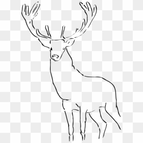 Deer,horn,monochrome, HD Png Download - deer antlers png