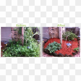 Lawnserve Of Ar Mulch Before And After - Flower Bed Mulch Before And After, HD Png Download - flower bed png