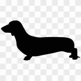 Dachshund Puppy Labrador Retriever Dog Breed Hot Dog - Sausage Dog Silhouette Png, Transparent Png - dachshund png