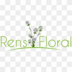 Waupun, Wi Florist - Rozali, HD Png Download - baby's breath png