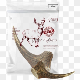 Antler, HD Png Download - deer antlers png