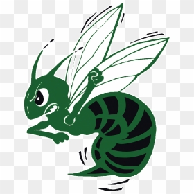 School Logo - Highland Hornets Football Logo, HD Png Download - hornet png