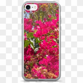Lankershim Village Bougainvillea Iphone 7/7 Plus Case - Bougainvillea, HD Png Download - bougainvillea png