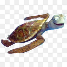 Transparent Turtle Cartoon Png - Crush Turtle From Finding Nemo, Png Download - finding nemo png