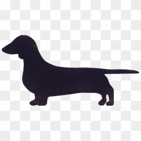 Miniature Dachshund Flat-coated Retriever Dog Breed - Transparent Background Dachshund Clipart, HD Png Download - dachshund png