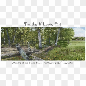 Timothy K Lewis Art - Grove, HD Png Download - old tree png