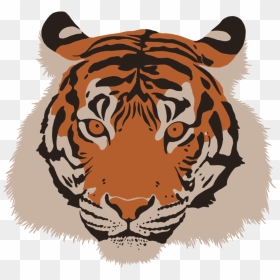 Point Defiance Zoo & Aquarium , Png Download - Siberian Tiger, Transparent Png - tiger head png