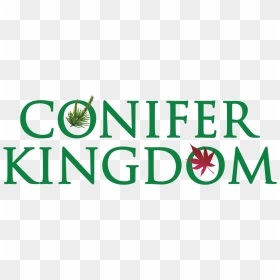 Emerson, HD Png Download - japanese maple png
