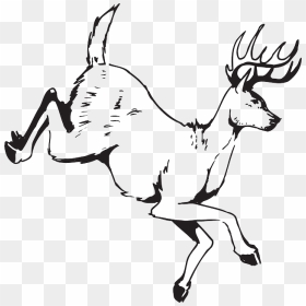 Outline, Drawing, Deer, Art, Jumping, Animal, Antlers - Draw A Running Deer, HD Png Download - deer antlers png