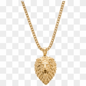 Lion Necklace Gold, HD Png Download - rapper gold chain png