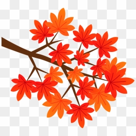 Maple Autumn Leaves Clipart - African Daisy, HD Png Download - japanese maple png
