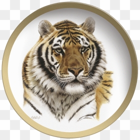 Tiger Head Png - Guy Coheleach Siberian Tiger, Transparent Png - tiger head png