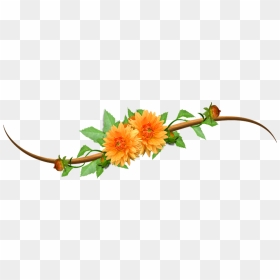 No Orange Clip Art - Yellow Flower Vine Clipart, HD Png Download - orange flowers png