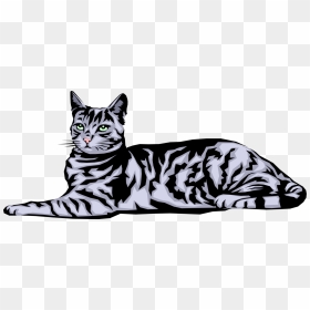 Vector Illustration Of Housecat Small Domesticated - House Cat Clipart, HD Png Download - cat vector png