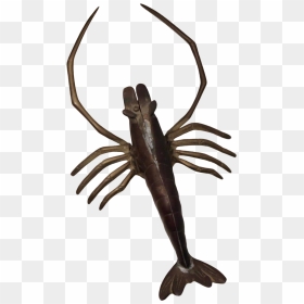 Large Brass Crawfish Wall Sculpture On Chairish - American Lobster, HD Png Download - crawfish png