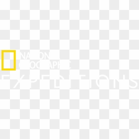 National Geographic Expeditions National Geographic - National Geographic, HD Png Download - national geographic logo png