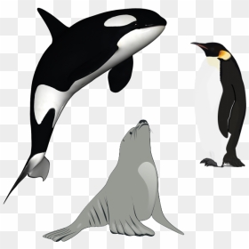 Killer Png, Transparent Png - killer png