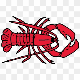 Free Crayfish Clipart, HD Png Download - crawfish png