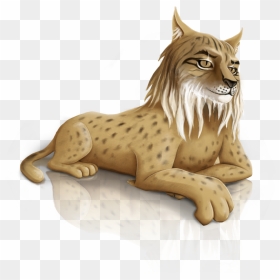 Iberian Lynx Png , Png Download - Eurasian Lynx, Transparent Png - lynx png