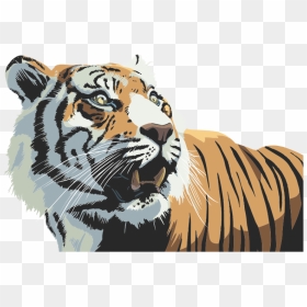 Tiger Head Illustration - Tiger Illustration Png, Transparent Png - tiger head png