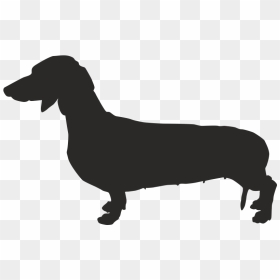 Dachshund French Bulldog Chihuahua Puppy - Dog Silhouette Dachshund, HD Png Download - dachshund png