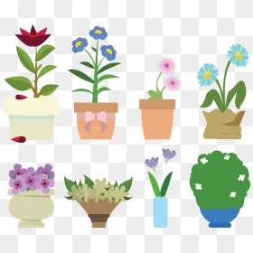 Plants - Flowerpot, HD Png Download - flower plants png