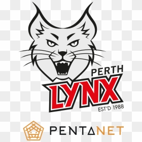 Perth Lynx, HD Png Download - lynx png