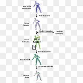 Example Of Body Skeleton Identification [58] - Cartoon, HD Png Download - cartoon body png