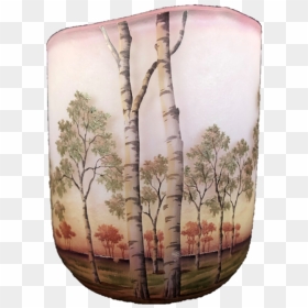Transparent Birch Tree Png - Grove, Png Download - birch tree png