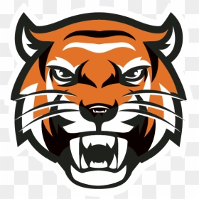 Tiger Head Transparent - Yamhill Carlton High School Mascot, HD Png Download - tiger head png