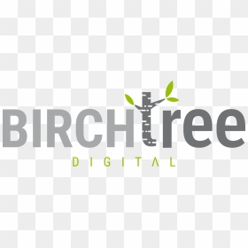 Birch Tree Digital - Graphic Design, HD Png Download - birch tree png