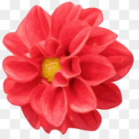 Realistic Flower Clip Art, HD Png Download - rose vector png
