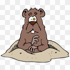 Transparent Walrus Clipart - Wood Chucker, HD Png Download - groundhog png