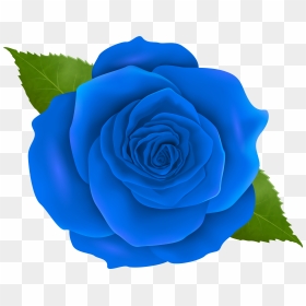 Png Blue Rose, Transparent Png - rose vector png