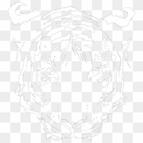 Sketch, HD Png Download - tiger head png