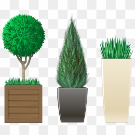 Transparent Plants Png - Plants, Png Download - potted plants png