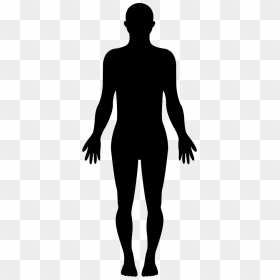 Standing Human Body Silhouette - Female Silhouette, HD Png Download - human body png