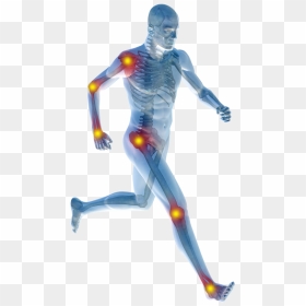 Herbalife Xtra Cal Benefits , Png Download - Joint Pain Png, Transparent Png - human body png