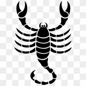 Scorpio Astrological Sign Astrology Zodiac Astrological - Scorpio Zodiac Sign Symbol, HD Png Download - scorpio png