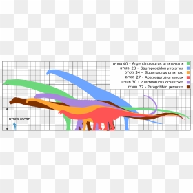 Biggest Dinosaurs Ver07 He - Patagotitan Mayorum Vs Argentinosaurus, HD Png Download - dinosaurs png