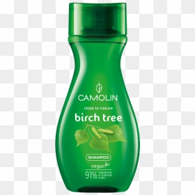 Shower Gel, HD Png Download - birch tree png