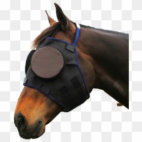 Guardian Paddock Mask - Horse With Eye Cover, HD Png Download - horse mask png
