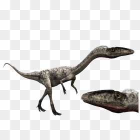 6734863 Orig - Dinosaur Revolution Coelophysis, HD Png Download - dinosaurs png