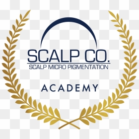 Scalp Co Award Png - Zero Project Award Winner, Transparent Png - academy award png