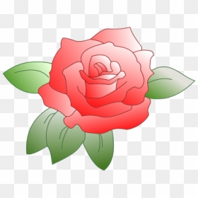 Plant,flower,garden Roses - Rose Clipart Small, HD Png Download - rose vector png