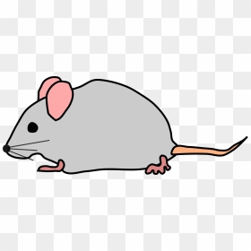 Mouse Clip Art, HD Png Download - mouse animal png
